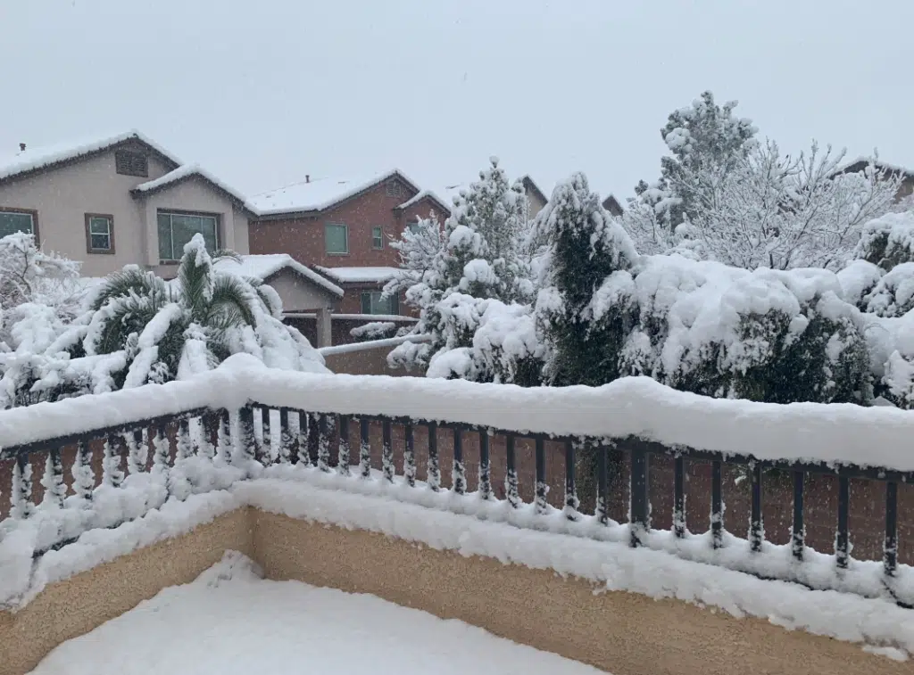 Snow-covered backyard patio with trees and houses blanketed in fresh snowfall