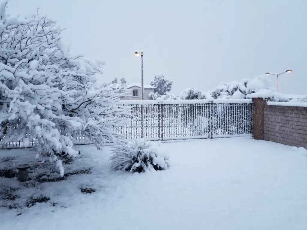 Snow-covered backyard with trees, a fence, and a soft winter landscape.